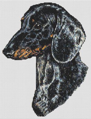 click here to view larger image of Dachshund (chart)