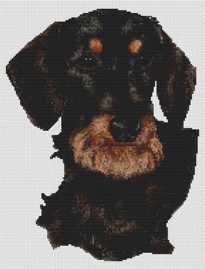 click here to view larger image of Black and Tan Wirehaired Dachshund (chart)