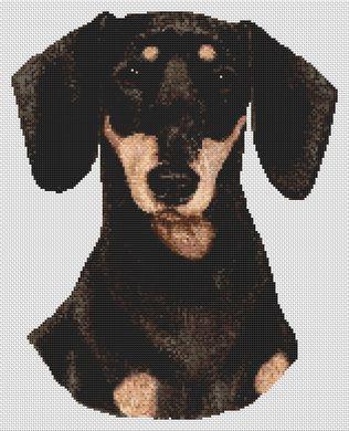click here to view larger image of Dachshund - Black and Creme (chart)