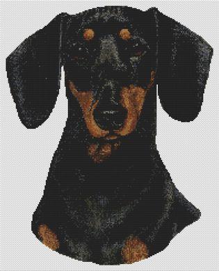 click here to view larger image of Dachshund - Black and Tan (chart)