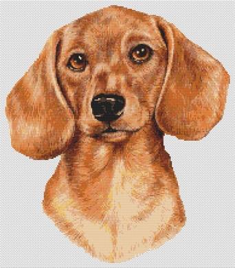 click here to view larger image of Dachshund - Red (chart)