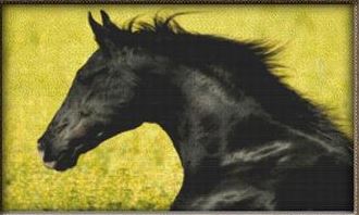 click here to view larger image of Racing Black Stallion (chart)