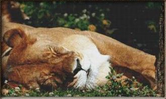 click here to view larger image of Sleeping Lion (chart)