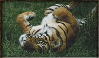 click here to view larger image of Playful Tiger (chart)