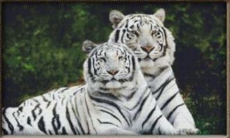 click here to view larger image of Two White Tigers (chart)