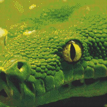 click here to view larger image of Green Python Closeup (chart)