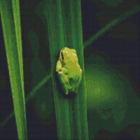 click here to view larger image of Tiny Green Frog (chart)