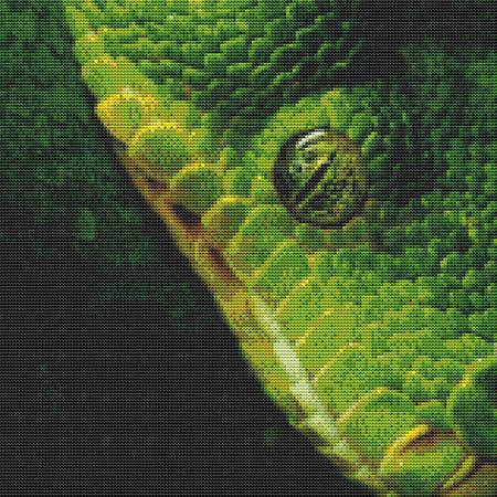 click here to view larger image of Green Snake Closeup (chart)