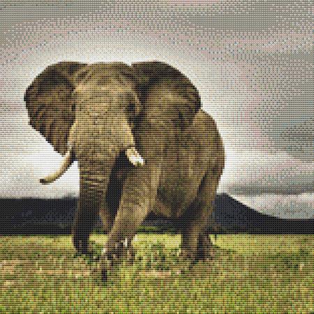 click here to view larger image of Grasslands Elephant (chart)