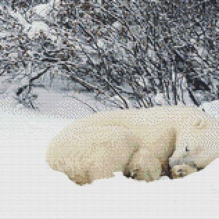 click here to view larger image of Sleeping Polar Bear (chart)