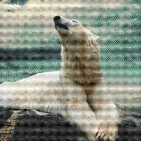 click here to view larger image of Relaxing Polar Bear (chart)