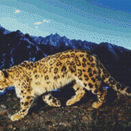 click here to view larger image of Mountainside Leopard (chart)