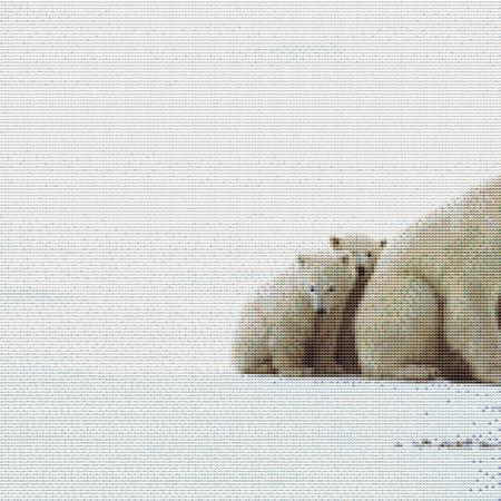 click here to view larger image of Nuzzling Polar Bear (chart)