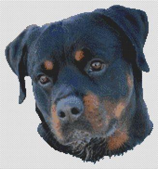 click here to view larger image of Rottweiler Serenity (chart)