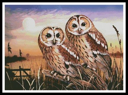 click here to view larger image of Tawny Owls  (Howard Robinson) (chart)
