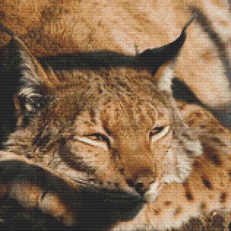 click here to view larger image of Sleeping Lynx (chart)