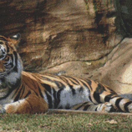 click here to view larger image of Resting Tiger (chart)