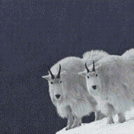 click here to view larger image of Two Snowy Goats (chart)