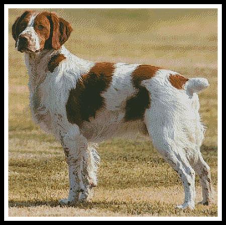 click here to view larger image of Brittany Spaniel (chart)