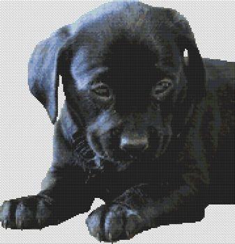click here to view larger image of Black Lab Puppy 2 (chart)