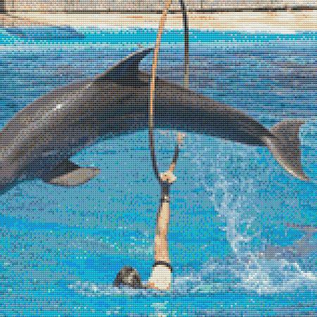 click here to view larger image of Dolphin Hoop-Jump (chart)