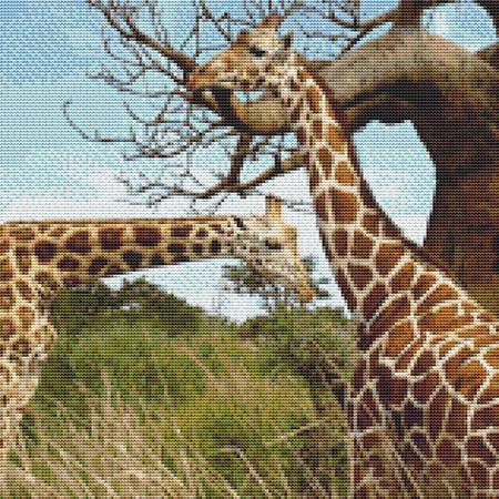 click here to view larger image of Two Giraffes (chart)