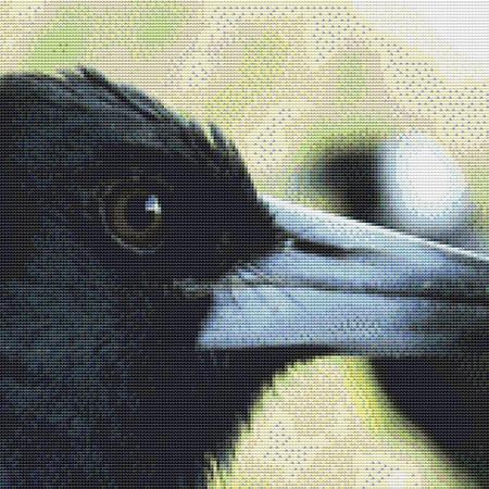 click here to view larger image of Crow Close-Up (chart)