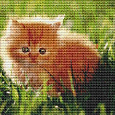 click here to view larger image of Grasslands Kitten (chart)