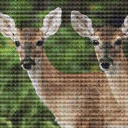 click here to view larger image of Two Watchful Deer (chart)
