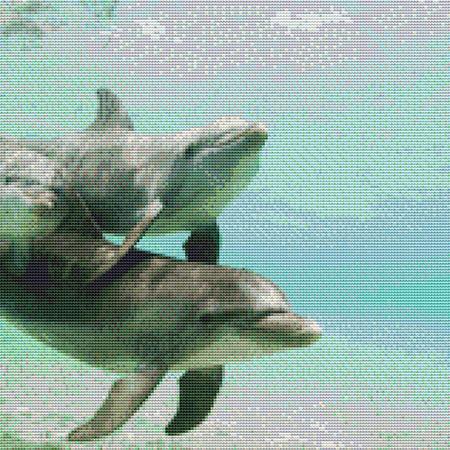 click here to view larger image of Two Playful Dolphins (chart)