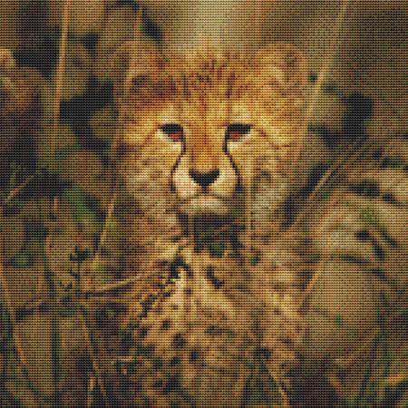 click here to view larger image of Wild Leopard Cub (chart)