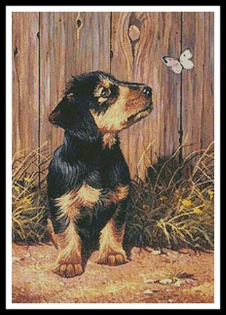 click here to view larger image of Dachshund Puppy  (Kevin Walsh) (chart)