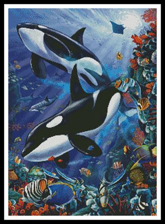 click here to view larger image of Orcas  (Lorenzo Tempesta) (chart)