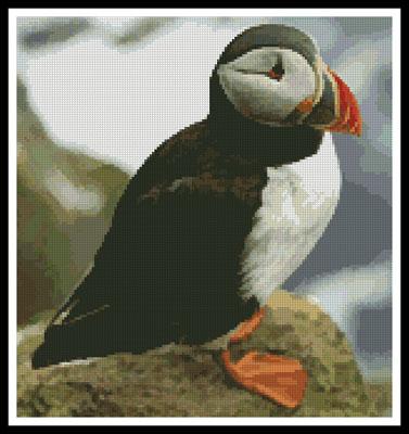 click here to view larger image of Puffin 3 (chart)