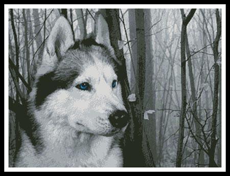 click here to view larger image of Siberian Husky In The Woods (chart)