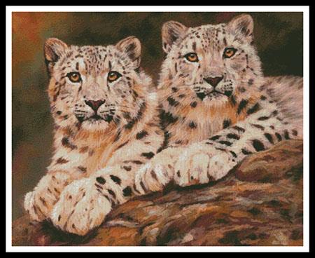 click here to view larger image of Pair of Young Snow Leopards  (David Stribbling) (chart)