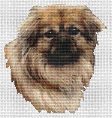 click here to view larger image of Tibetan Spaniel - Fawn (chart)