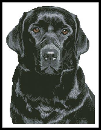 click here to view larger image of Black Labrador (chart)