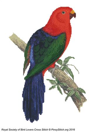 click here to view larger image of RSBL Parakeet King Parrot (chart)