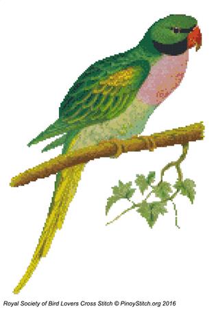 click here to view larger image of RSBL Parakeet Javan (chart)