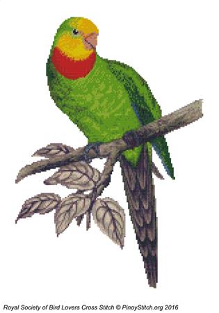click here to view larger image of RSBL Parakeet Barrabands (chart)