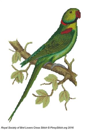 click here to view larger image of RSBL Parakeet Alexandrine (chart)