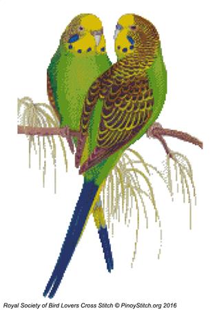 click here to view larger image of RSBL Parakeet Budgerigar (chart)