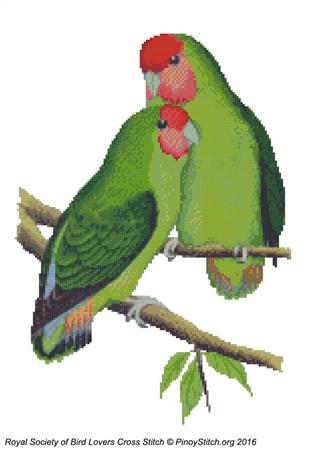 click here to view larger image of RSBL Lovebird Rosyface (chart)