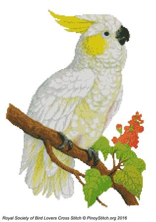 click here to view larger image of RSBL Cockatoo Lemon Crested (chart)