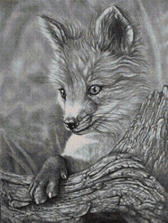 click here to view larger image of Fox Cub (chart)