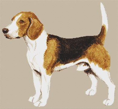 click here to view larger image of Beagle VI (chart)