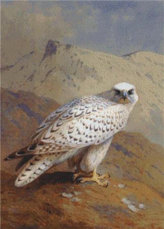 click here to view larger image of Gyr Falcon (chart)