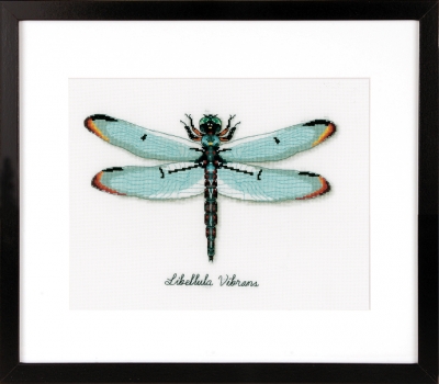 click here to view larger image of Dragonfly (counted cross stitch kit)
