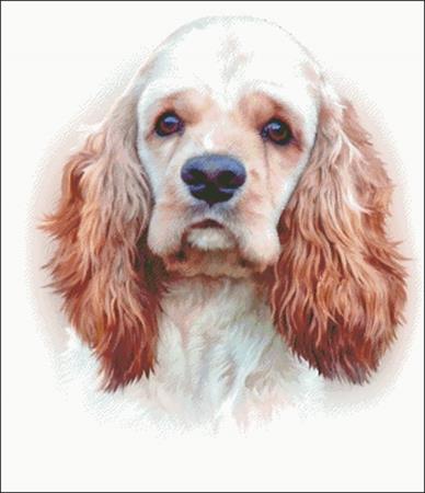 click here to view larger image of American Cocker Spaniel (chart)